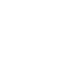 Carousel_HGCP_Toyota